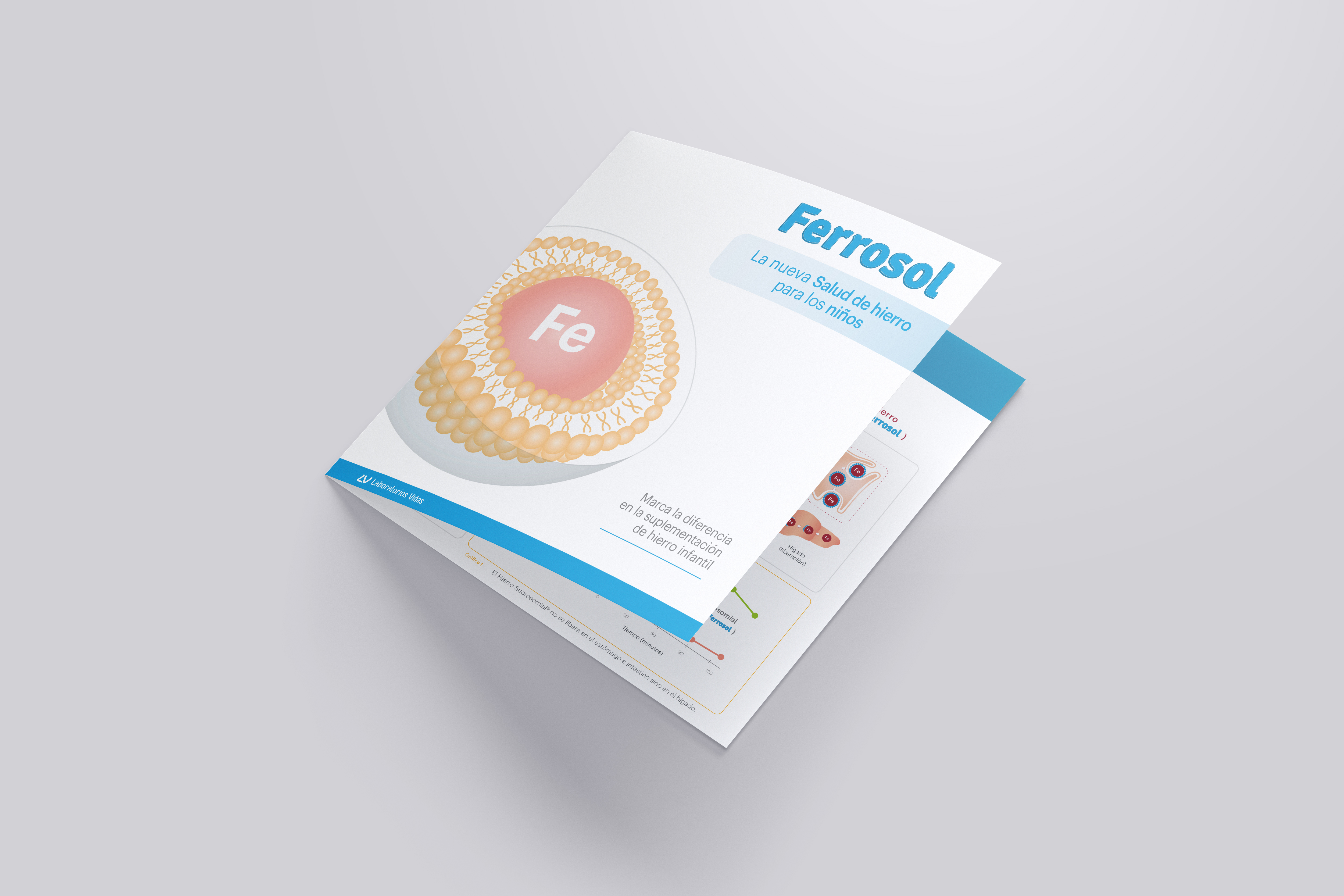 333859-square-bi-fold-brochure-mockups-01